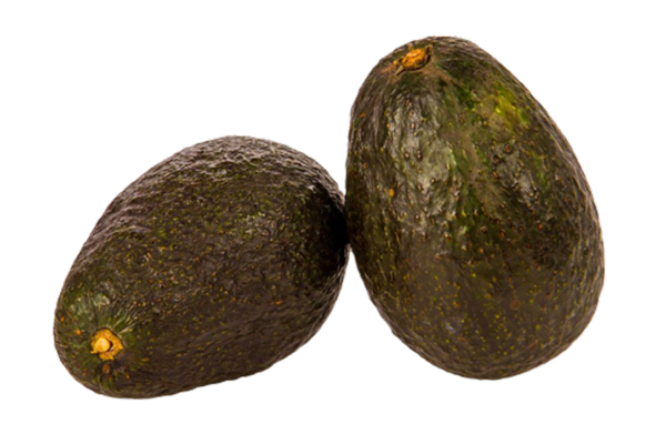 JUMBO AVOCADO