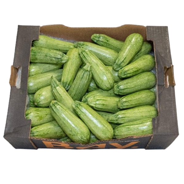 BOX OF MEXICAN SQUASH 20 LB