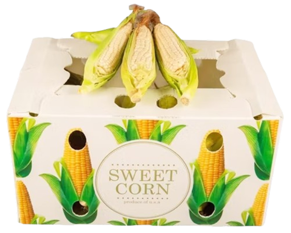 48 CT BOX OF WHITE CORN