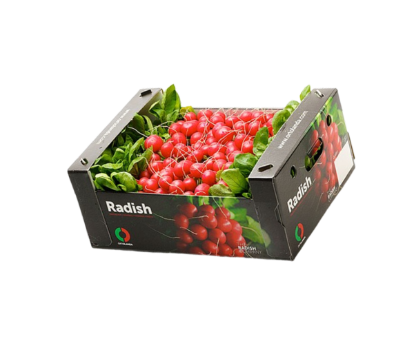 BOX OF RED RADISH 48 CT